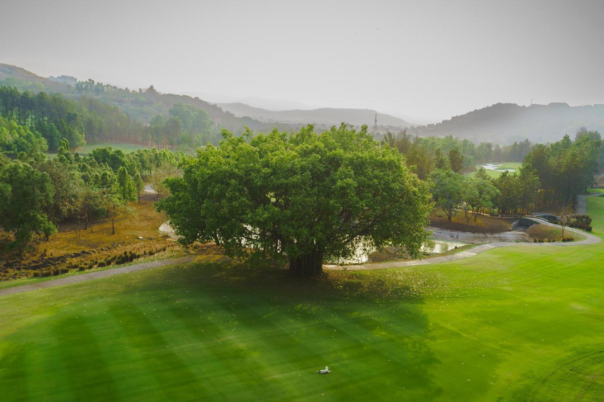 Oxford Golf Resort Pirangut Bagian luar foto